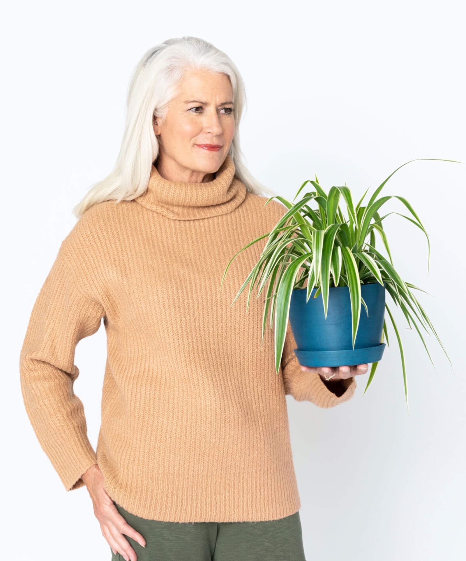 plant image