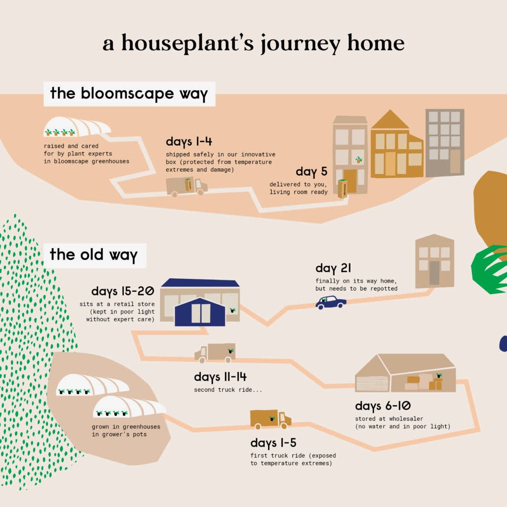 Bloomscape best and easiest way to buy indoor plants