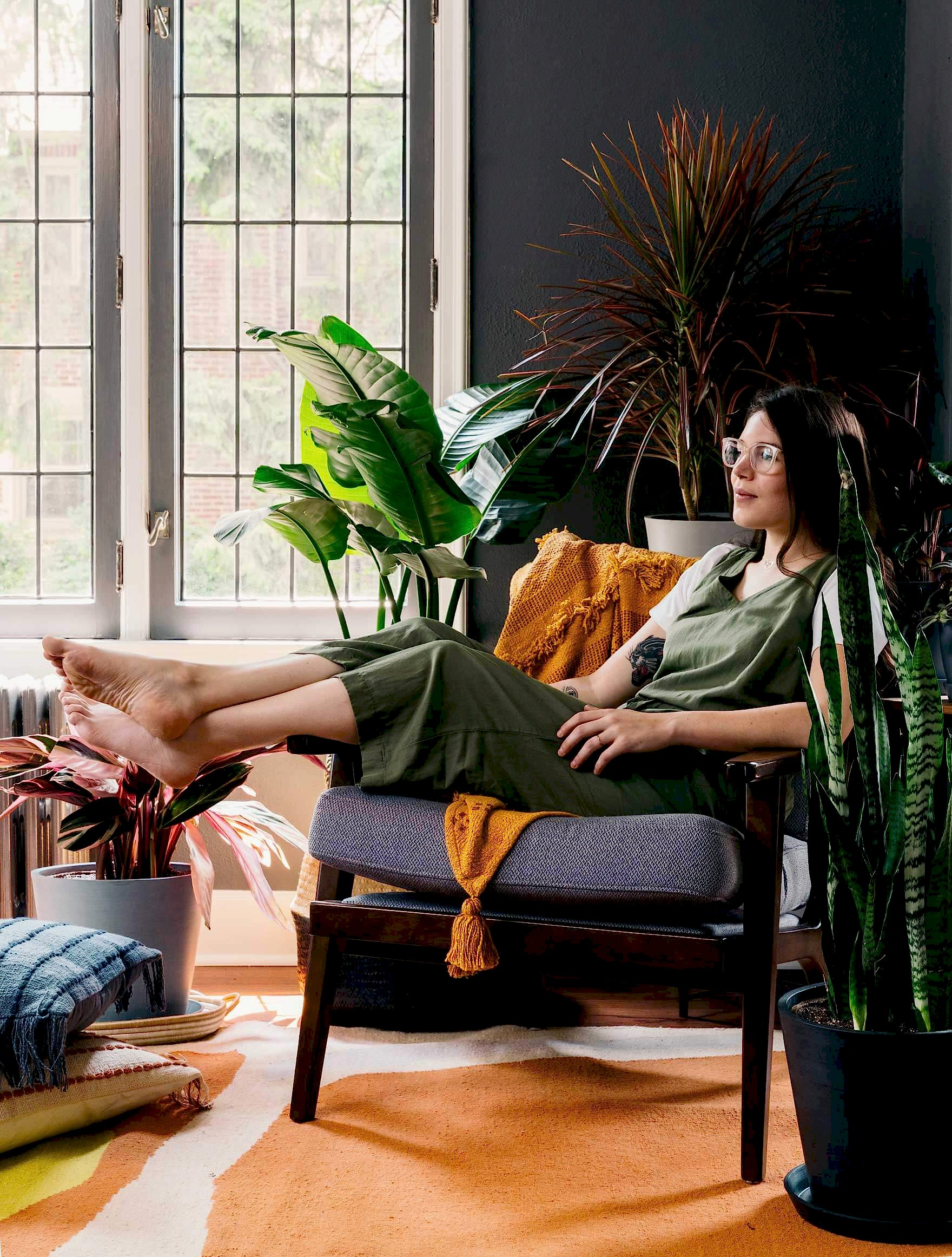 How to choose the best indoor plant for you