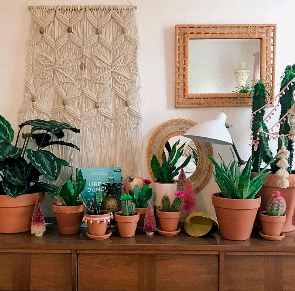 colorful bohemian home, bohemian style plants