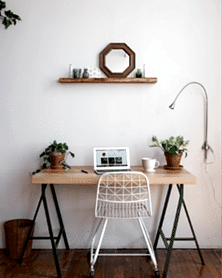 advice from plant mom: the benefits of having plants in offices