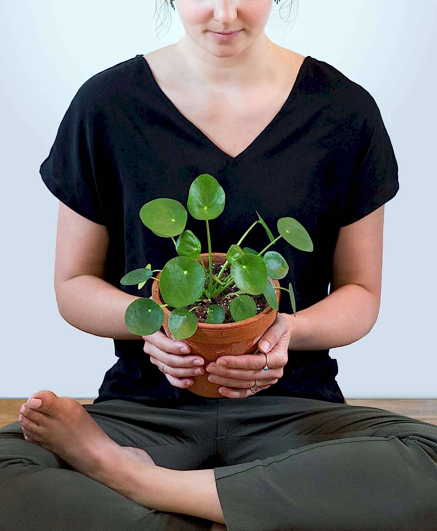 plant image