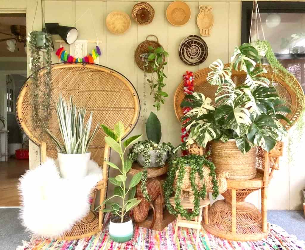 Plant Life Series: A Modern Bohemian Plant Paradise in Chicago