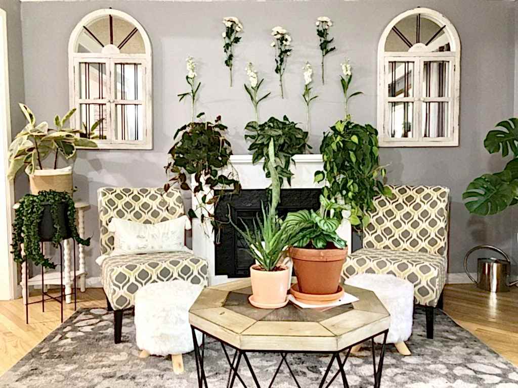 Plant Life Series: A Modern Bohemian Plant Paradise in Chicago