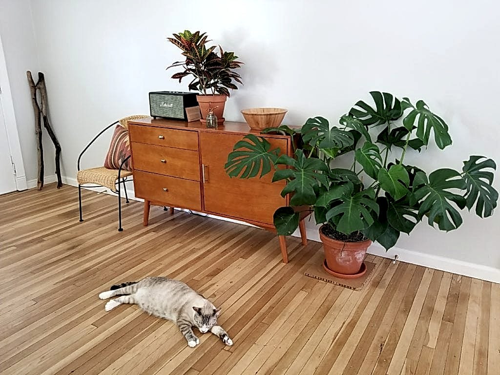 charming mid-century california bungalow