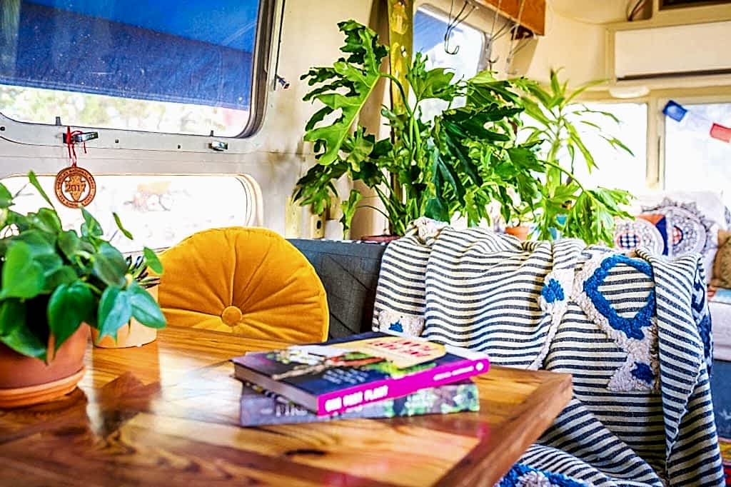 Plant Life Series: A Colorful Southwestern Maximalist Home