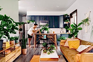 Best Plants for Your Apartment: Bloomscape Your Space