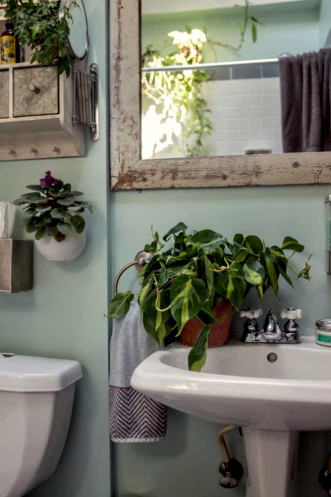 Best Plants for Your Apartment: Bloomscape Your Space Best Plants for Your Apartment: Bloomscape Your Space