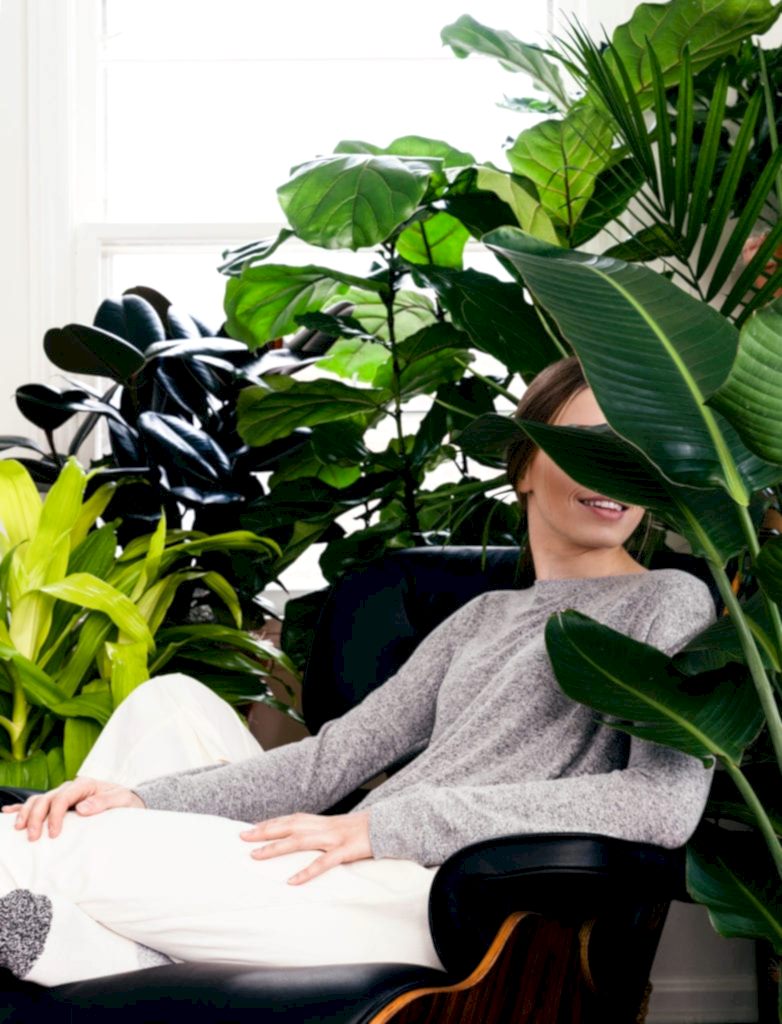 Health Benefits of Indoor Plants