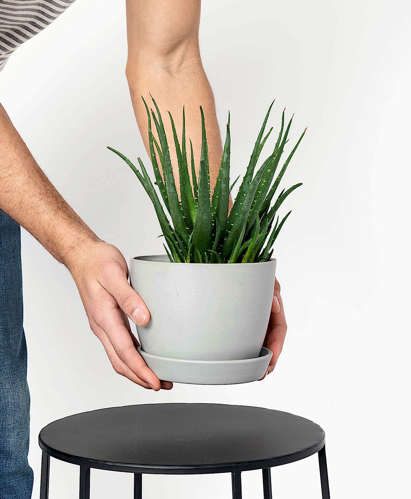 Bloomscape Ecopots Small Pot