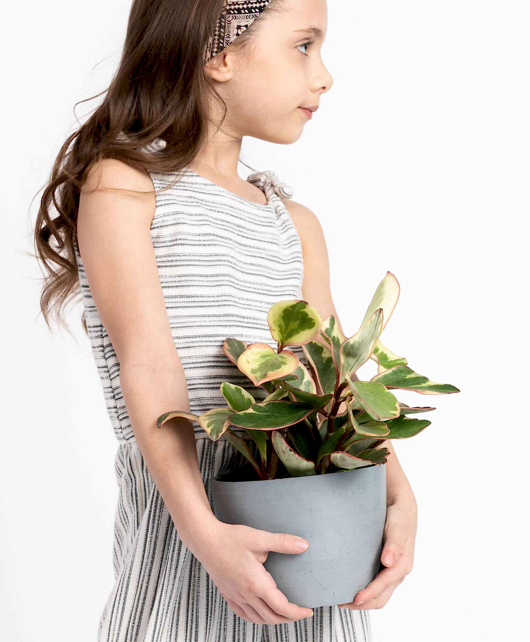 plant image