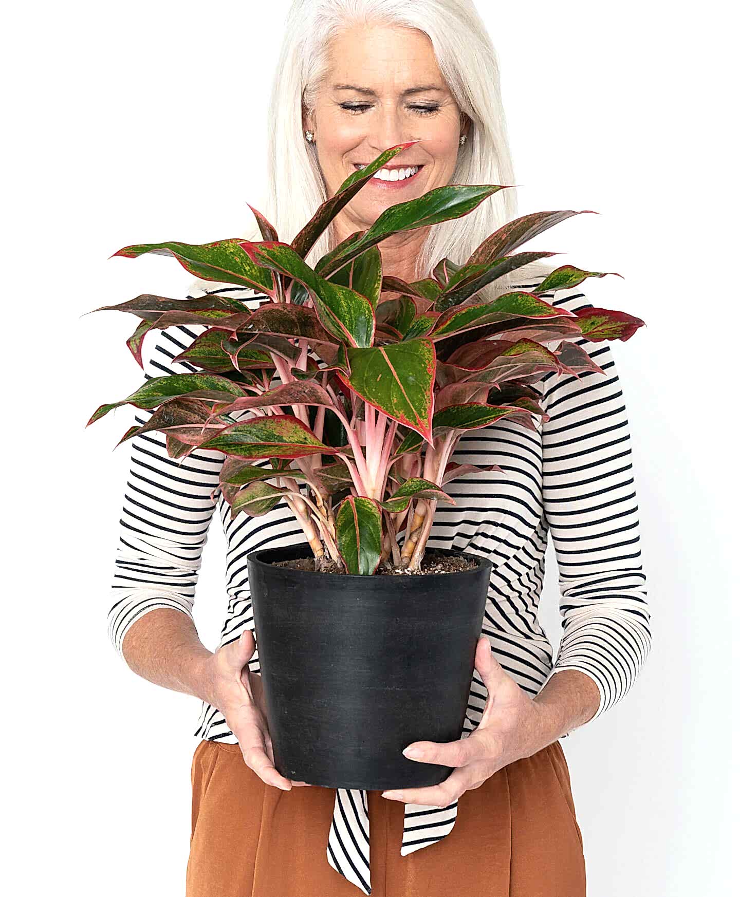plant image