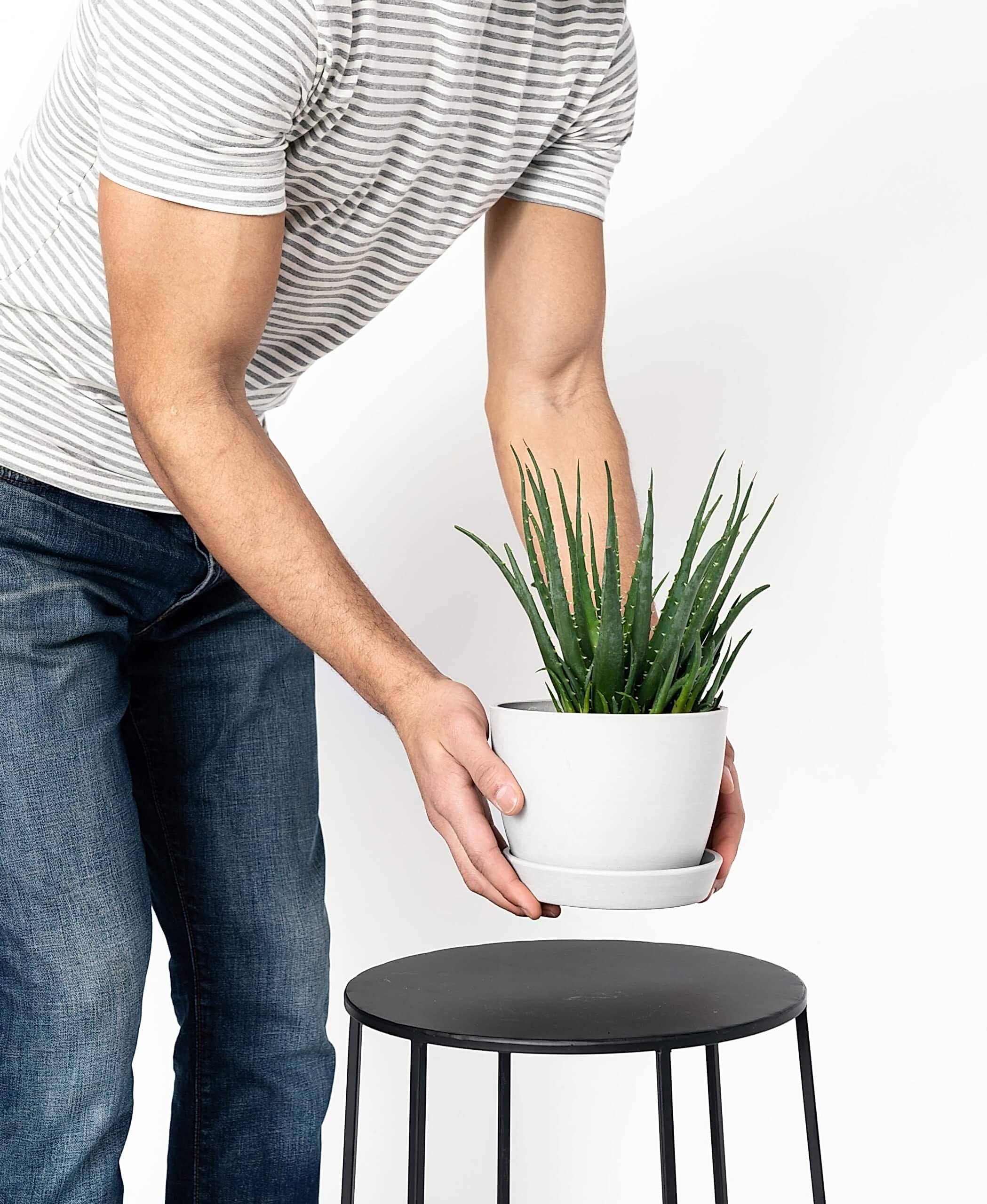 plant image