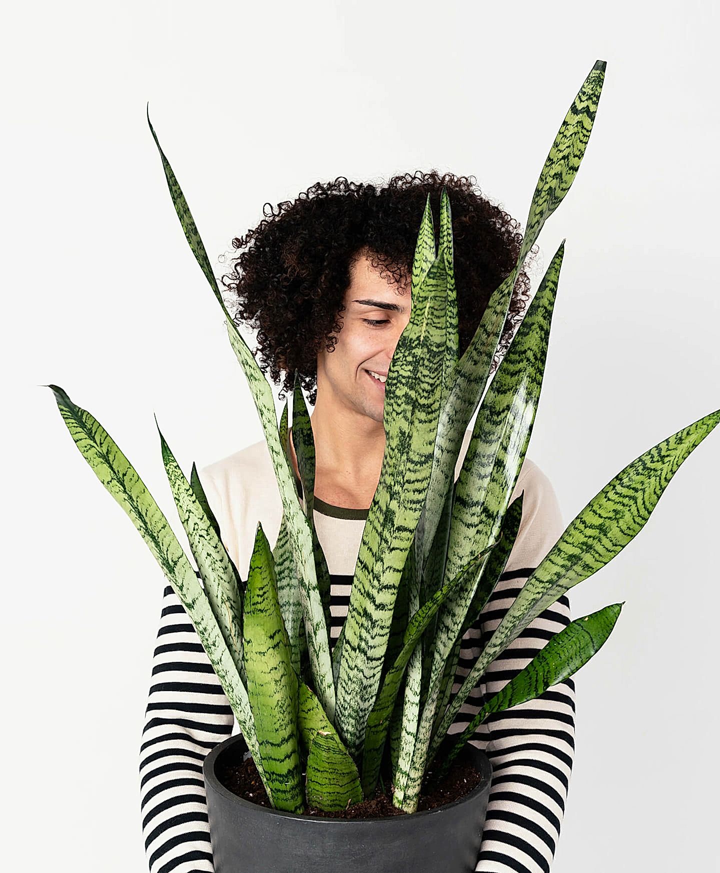 plant image
