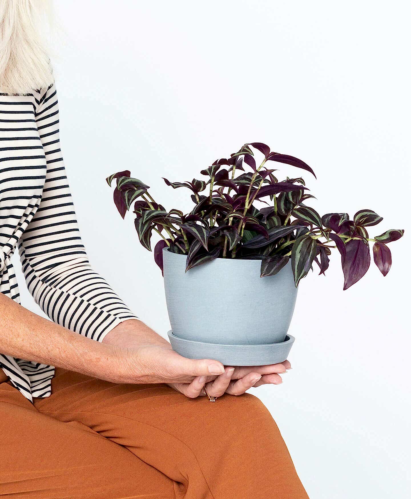 plant image