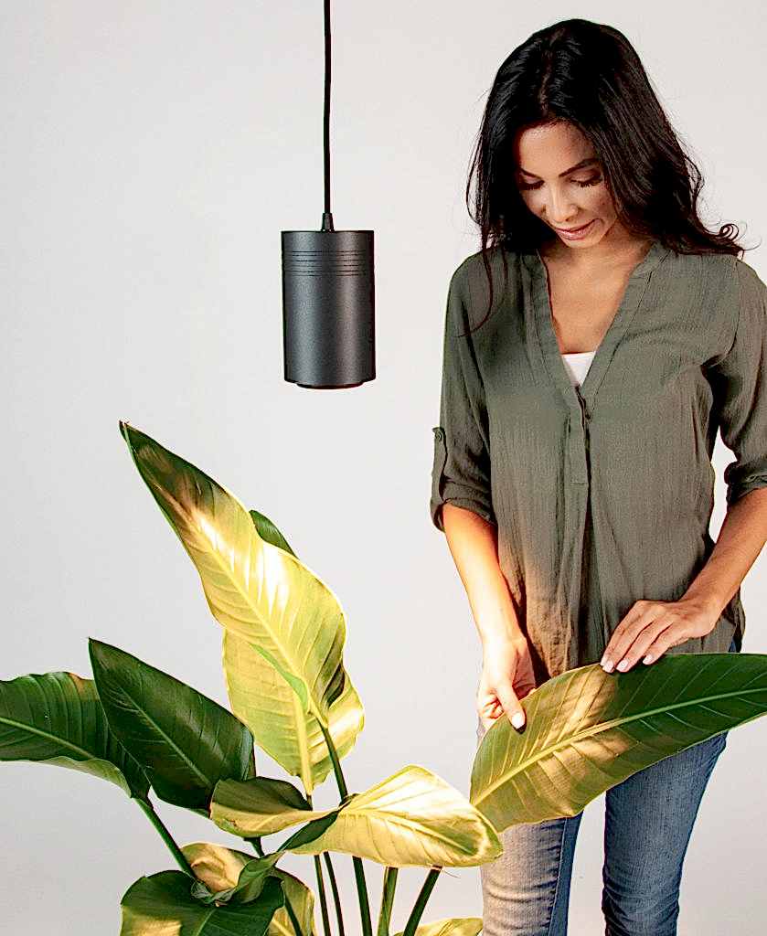 Bloomscape Indoor Grow Light
