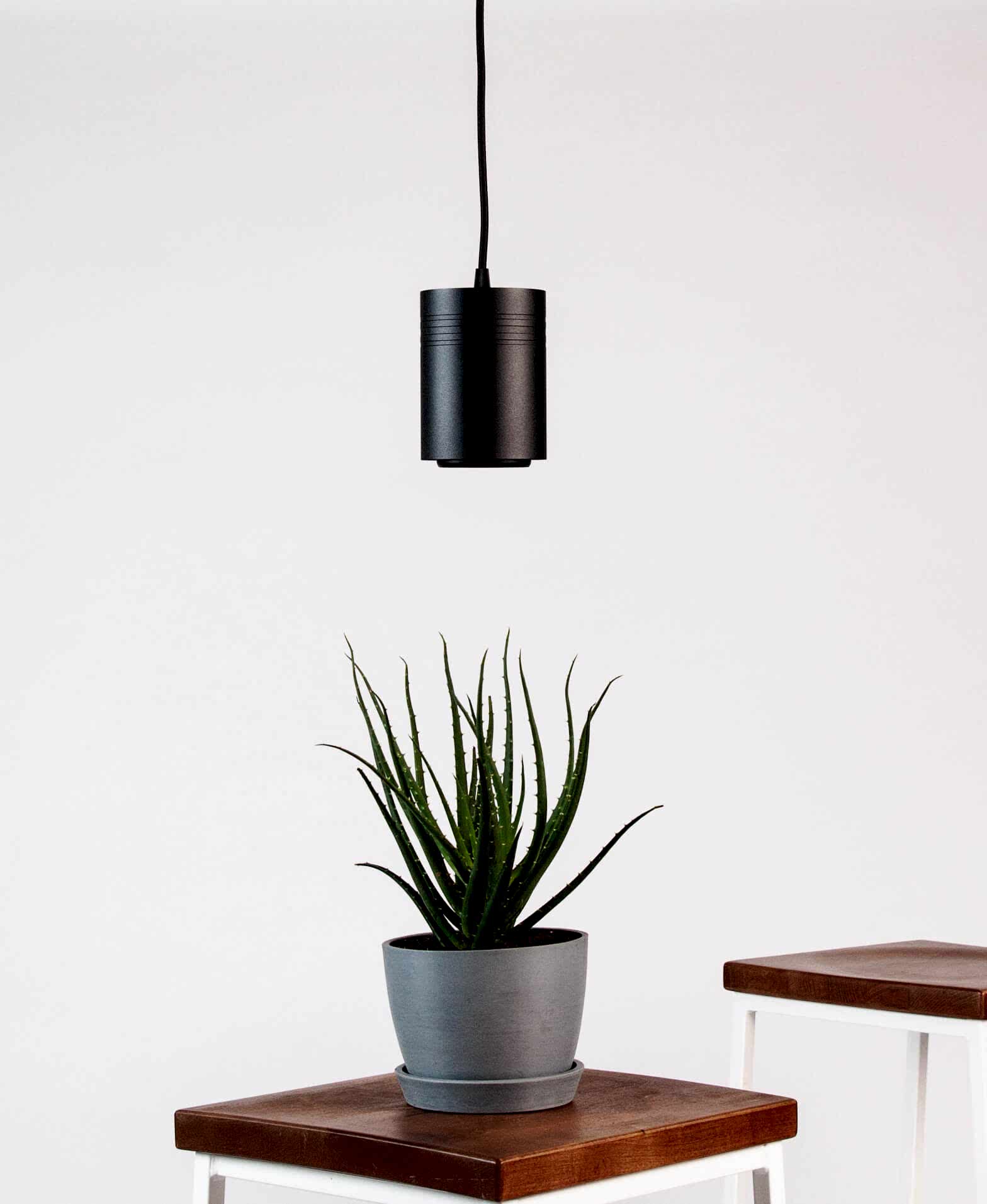 Bloomscape Indoor Grow Light