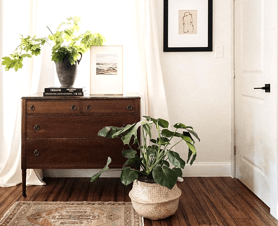 The Plant Care Chronicles: How Plants Taught Artist Zenia Olivares About Embracing Uncertainty