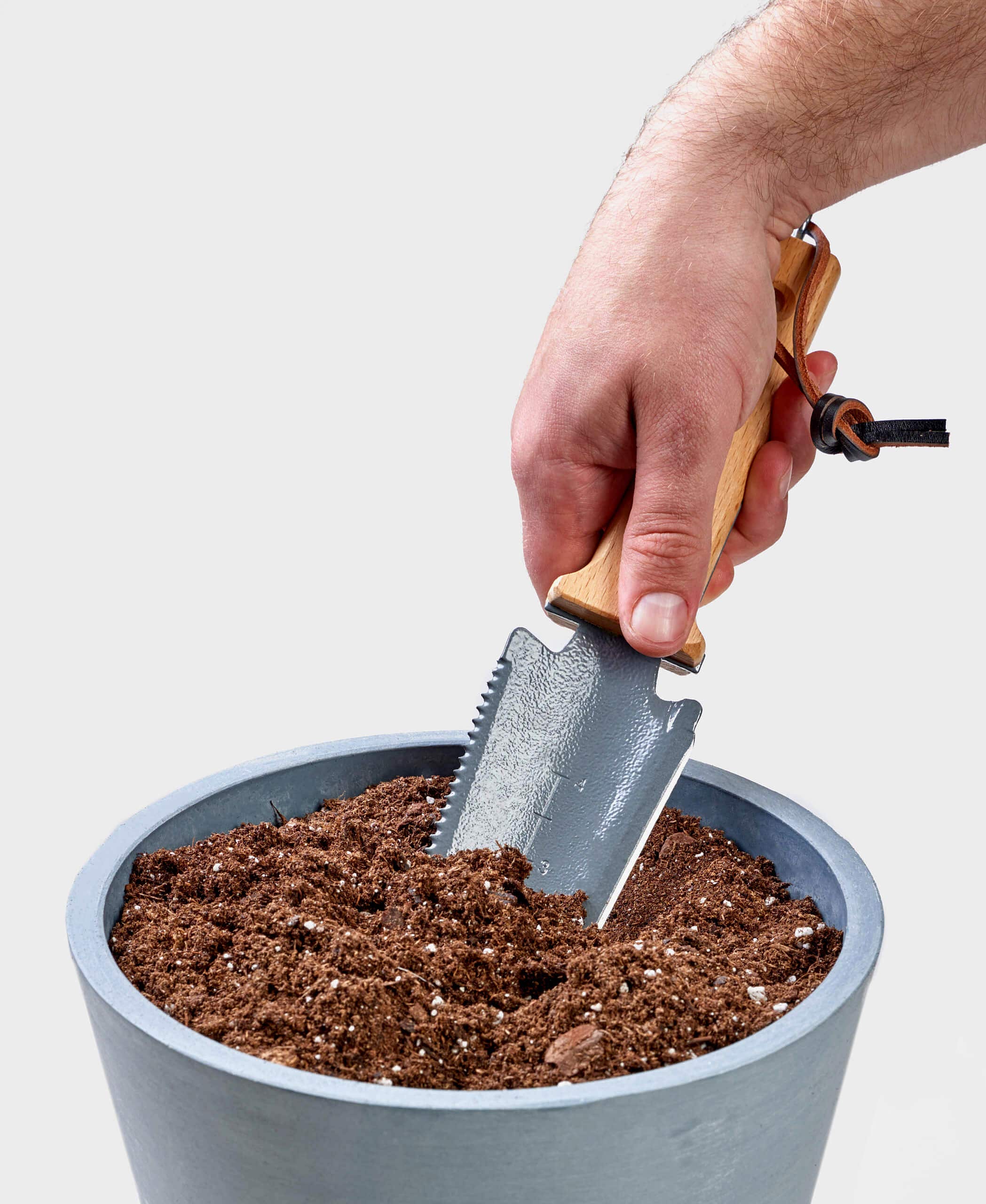Buy Bloomscape Soil Knife