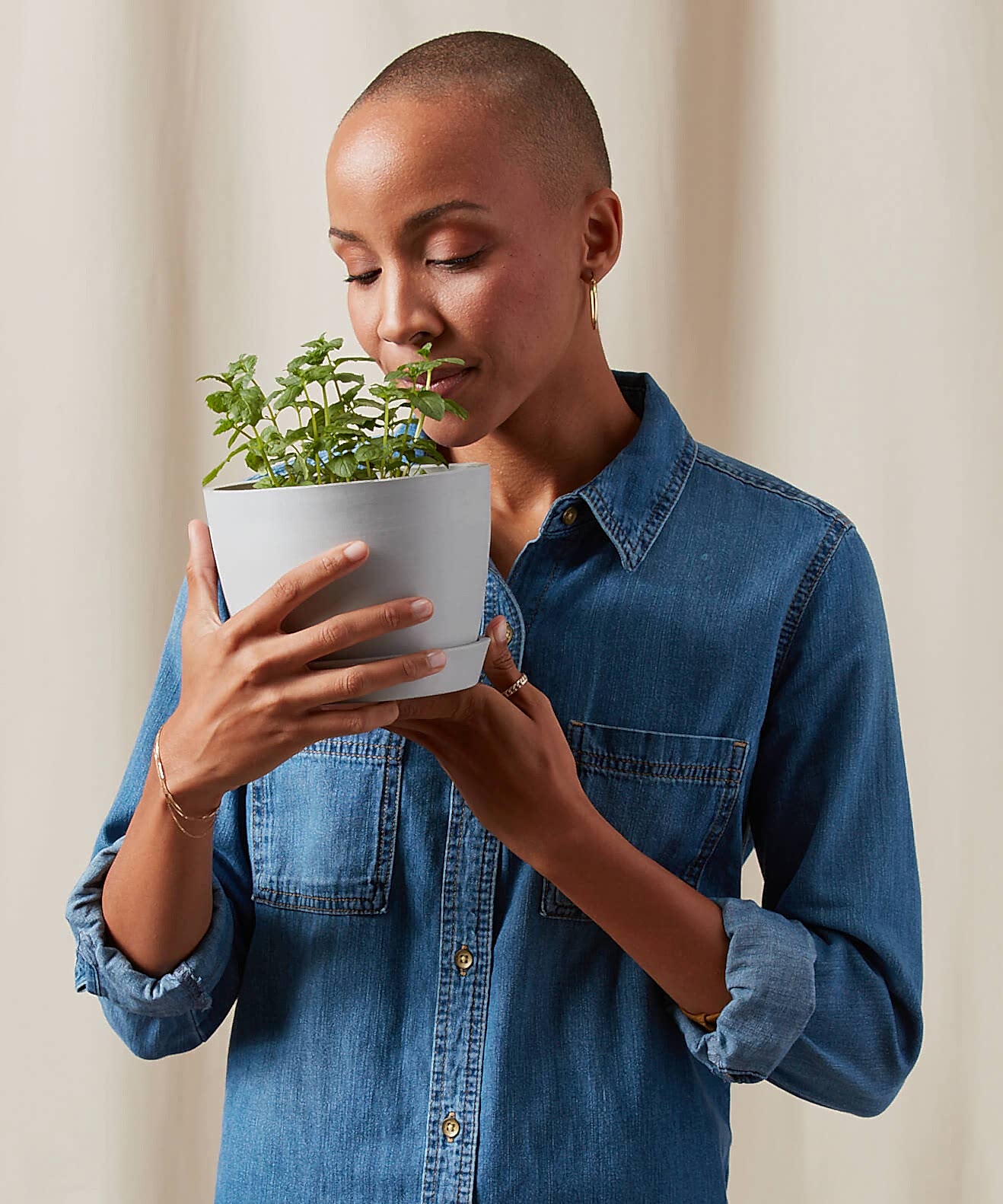 Herb Plant Care