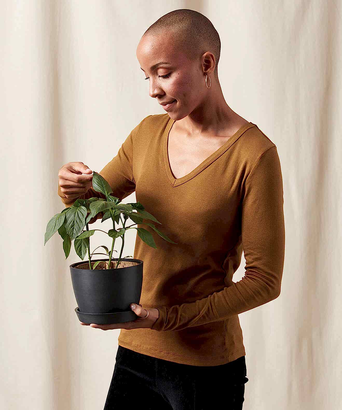 plant image