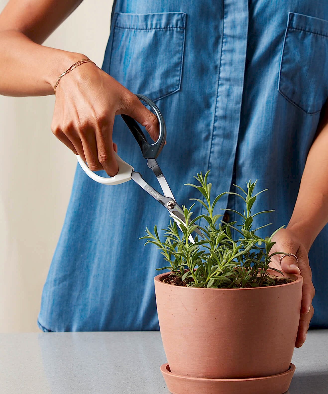 Buy Bloomscape Pruning Scissors