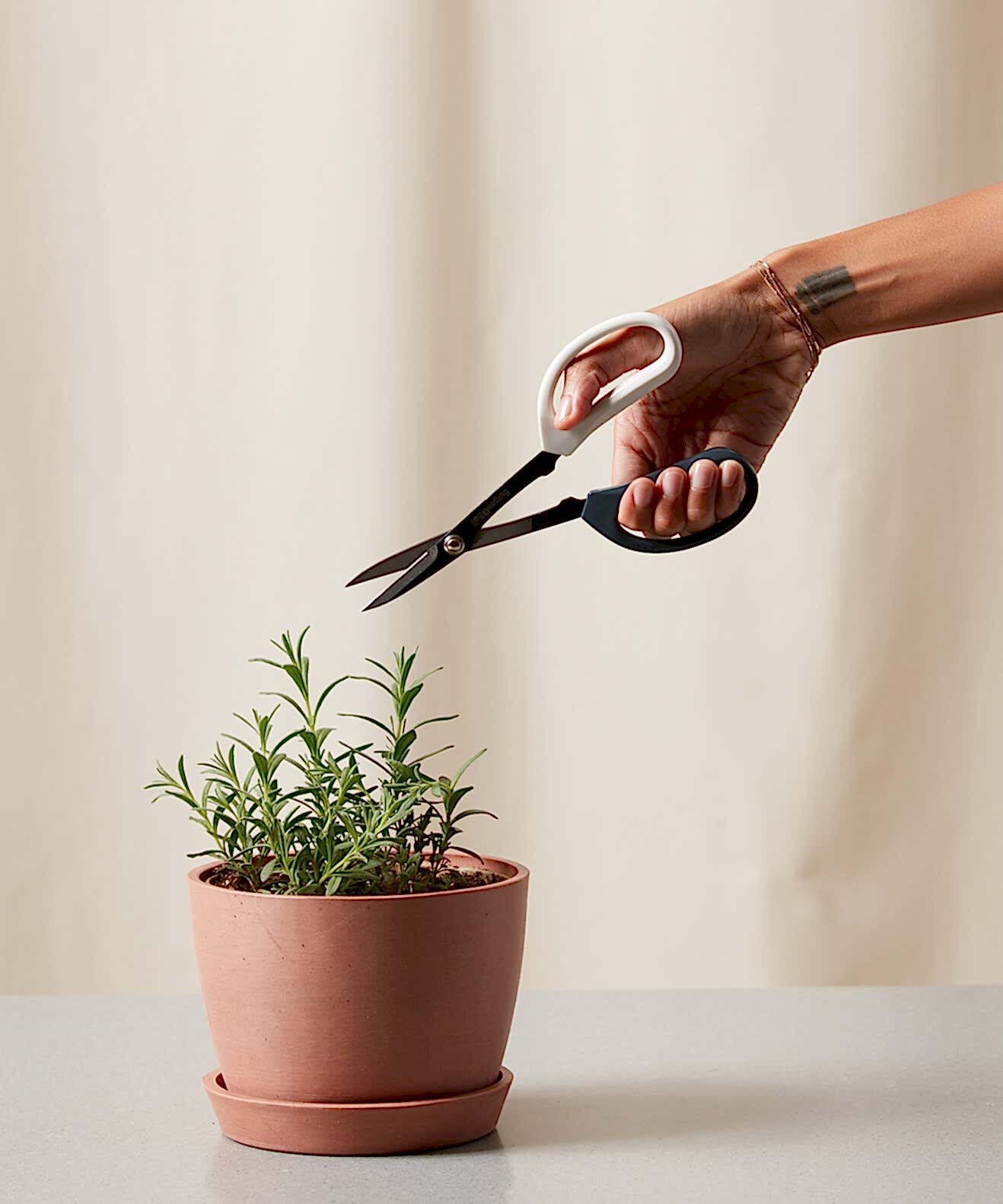 Buy Bloomscape Pruning Scissors