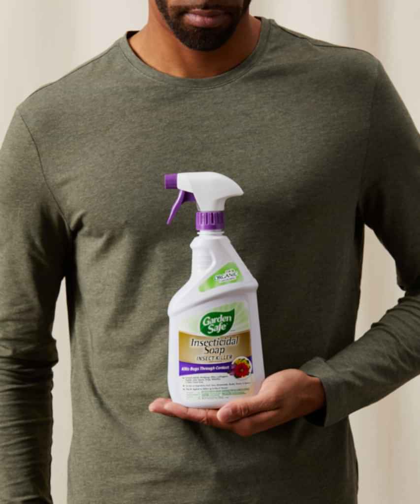 Buy Bloomscape's Garden Safe Insecticidal Soap