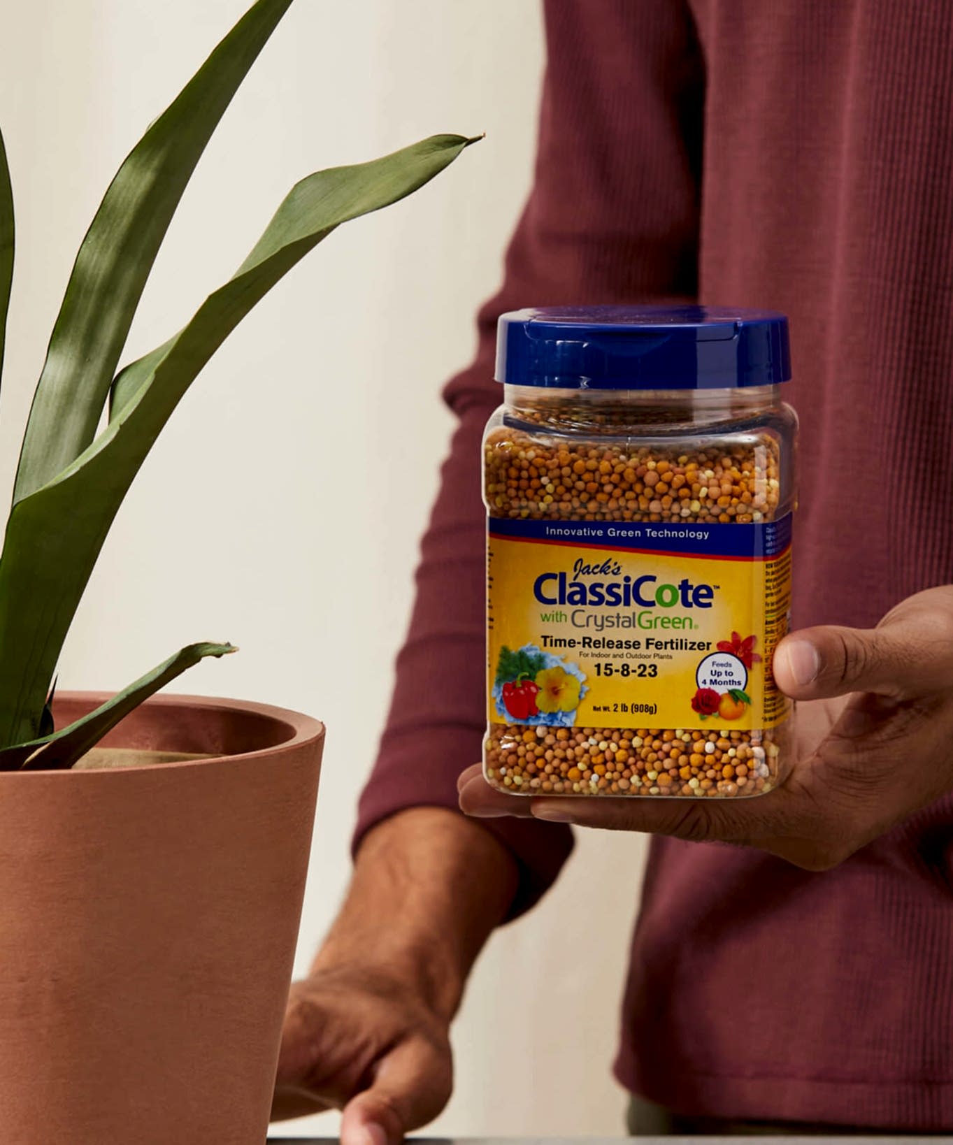 Buy Bloomscape Time Release ClassiCote Fertilizer