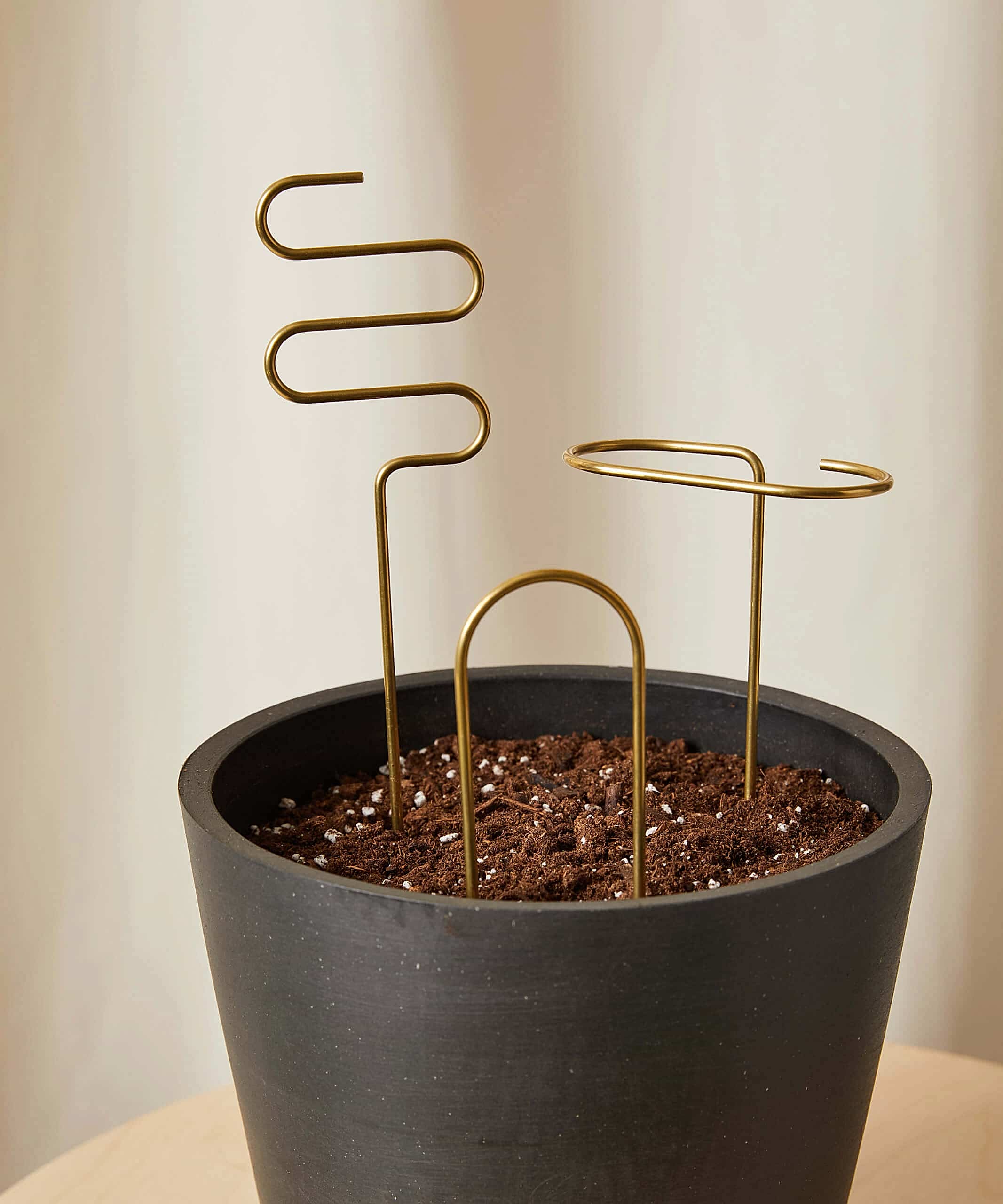 Buy Bloomscape Plant Sticks
