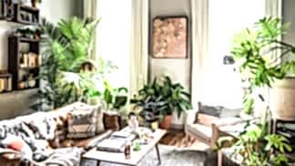 Hilton Carter's Baltimore apartment living room with many plants.