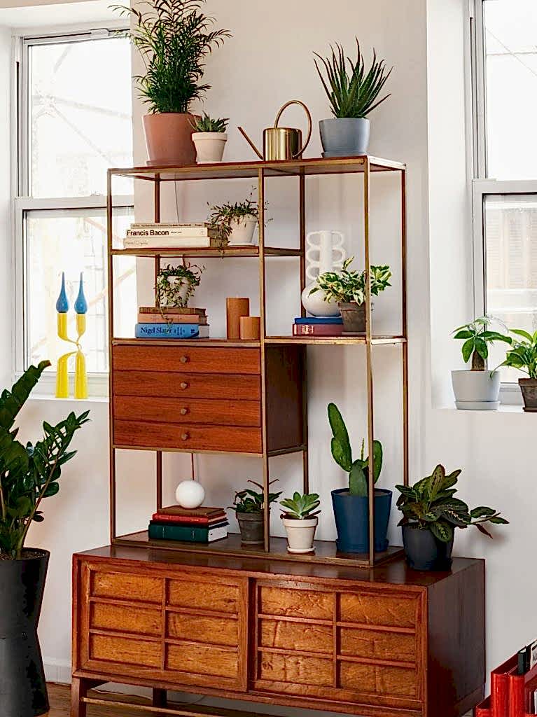 Bloomscape plants displayed on a mid-century modern shelving unit
