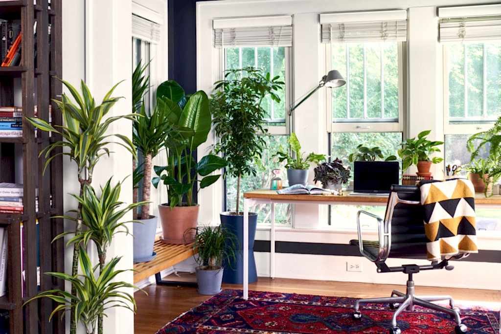 Bloomscape plants in home office with chair in front of desk