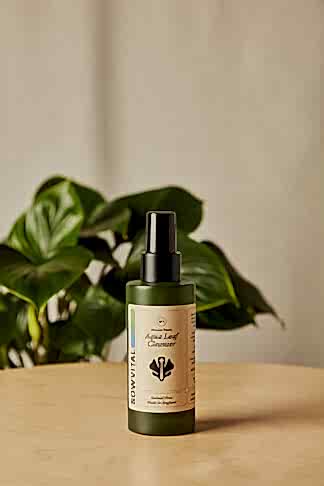 Aqua Leaf Cleanser