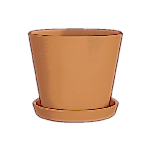 EcoPot